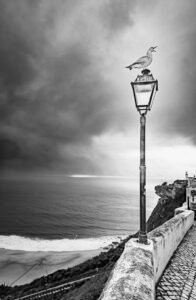 Fotografía de Francisco Toscano de la colección Soliloquios, Nazaré 2023. Acervo Mirada de Cuervo.