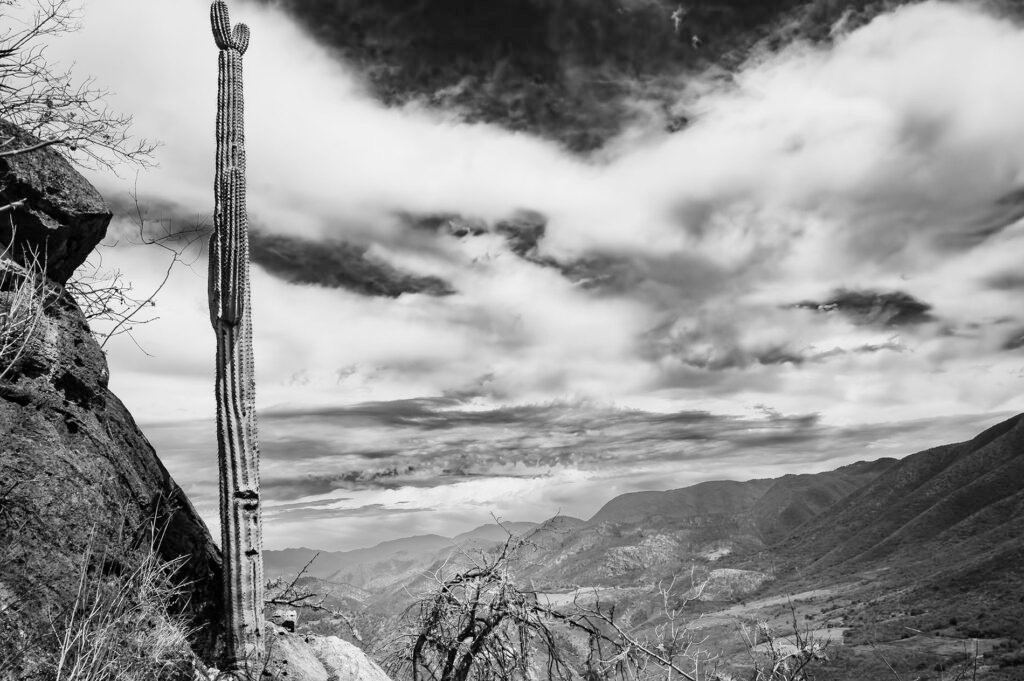 Fotografía de Francisco Toscano de la colección Soliloquios, Hierve el agua, Oaxaca 2022. Acervo Mirada de Cuervo.
