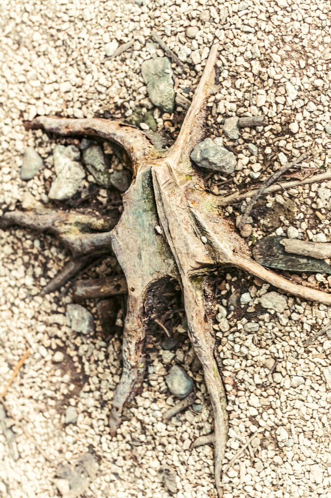 Fotografía de Francisco Toscano de la colección Soliloquios, Chetumal 2019. Acervo Mirada de Cuervo.