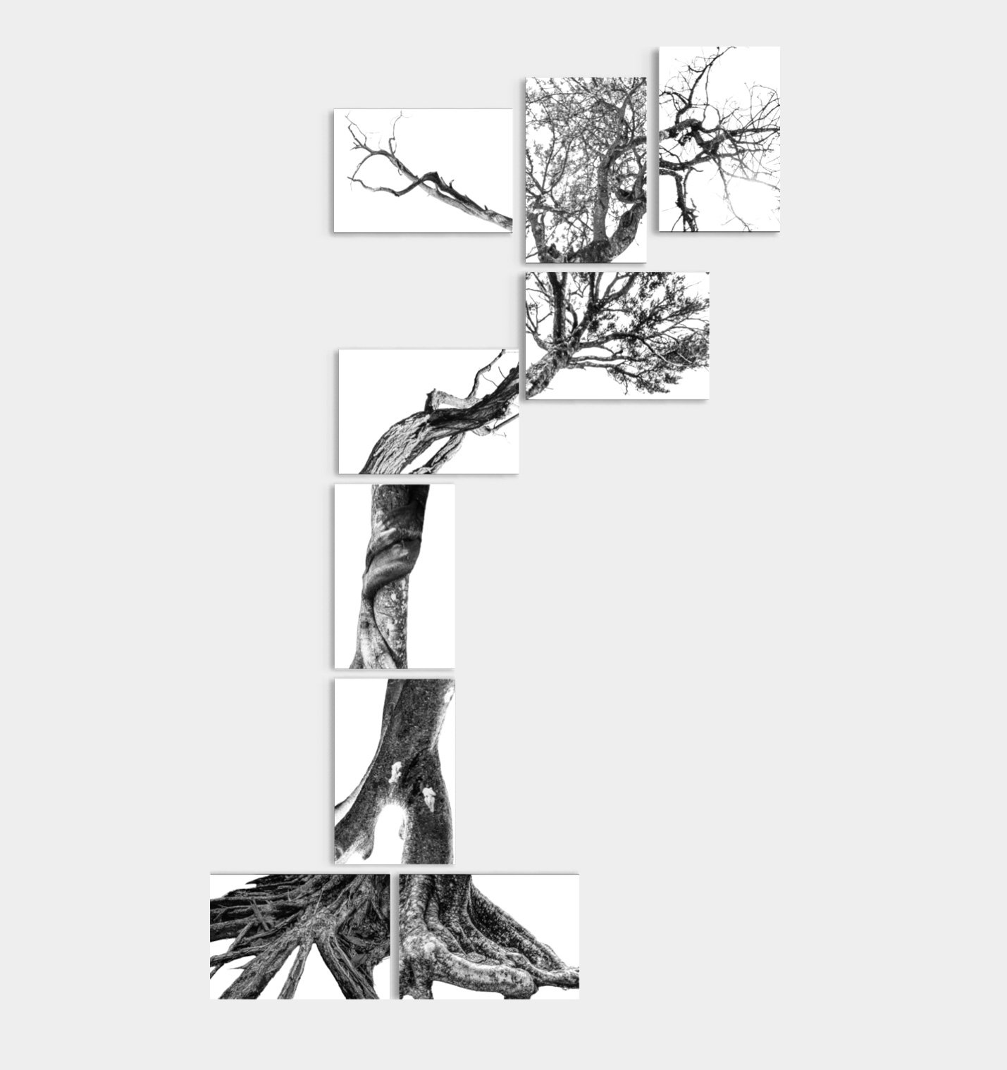 arboles-2