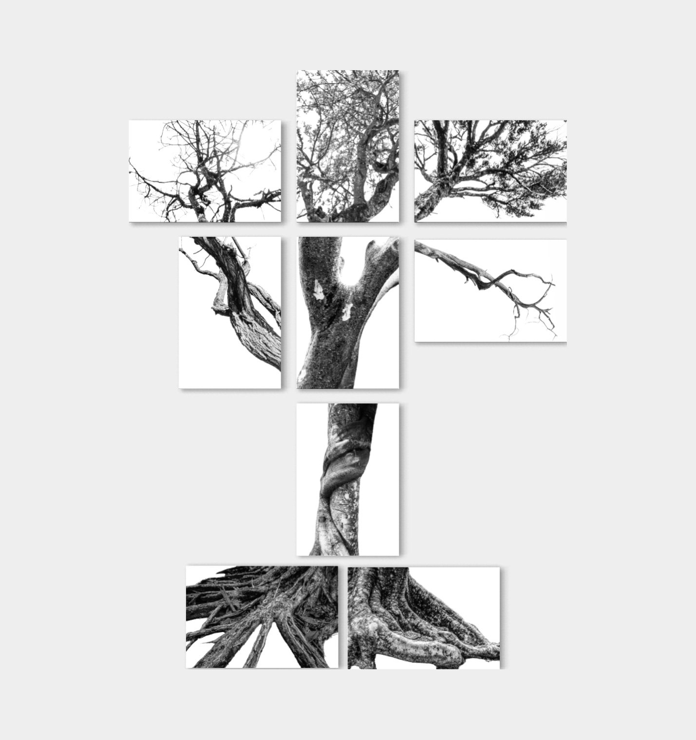 arboles-3
